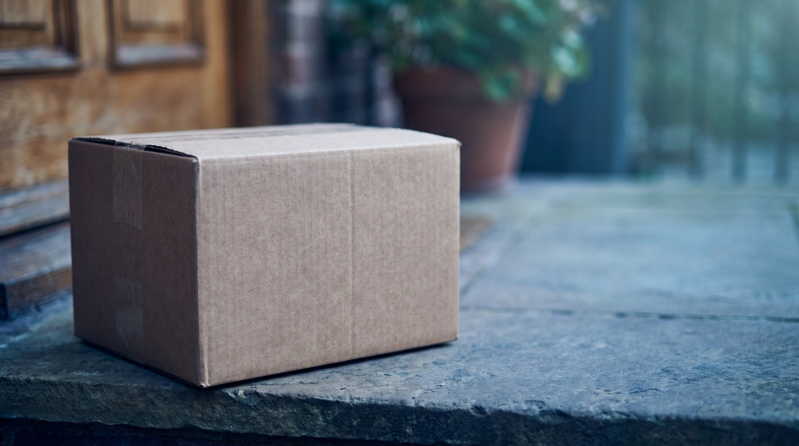 A plain taped cardboard parcel sitting on a stone doorstep, with a potted plant and a front door blurred in the background.